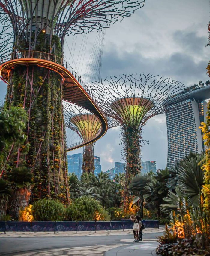 Singapore Gardens by the Bay, green lush garden in a concrete jungle